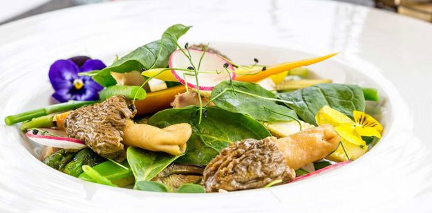 savoyrestaurant-navrat-kralika