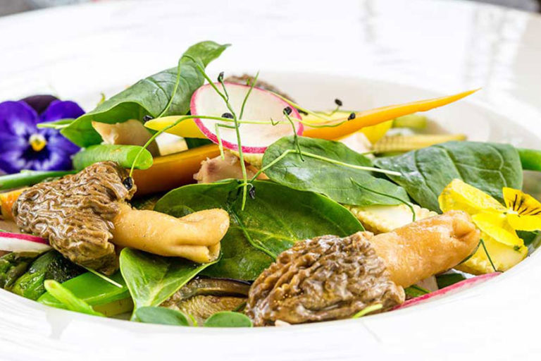 savoyrestaurant-navrat-kralika