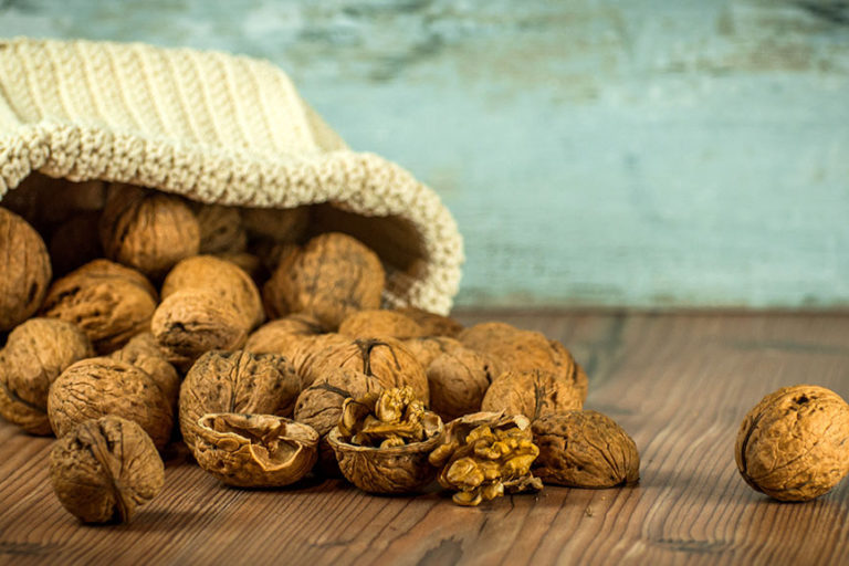 savoyrestaurant-oriesky-2