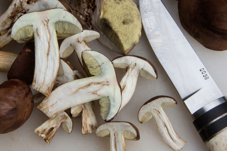 savoyrestaurant_kulajda