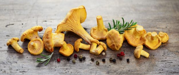 AdobeStock_67748458_preview