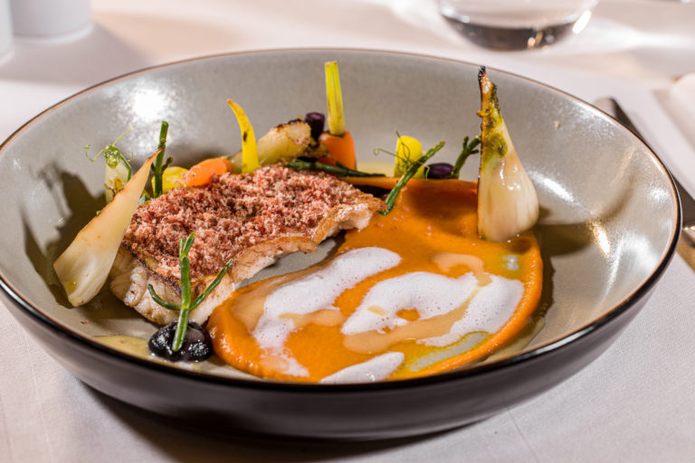 ZF Restovaný zubáč